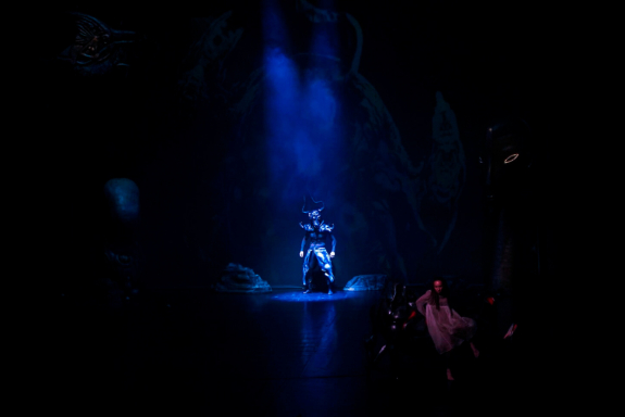 Степные миражи Dashi