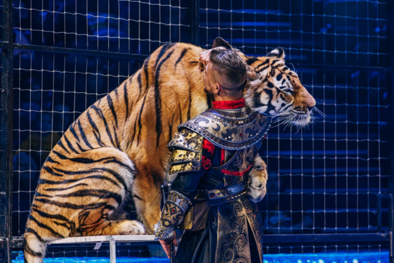 &Icy;&mcy;&pcy;&iecy;&rcy;&acy;&tcy;&ocy;&rcy;&scy;&kcy;&icy;&jcy; &tscy;&icy;&rcy;&kcy; &Mcy;&ocy;&rcy;&iecy;&tcy;&tcy;&icy; &Ucy;&lcy;&acy;&ncy;-&Ucy;&dcy;&ecy;