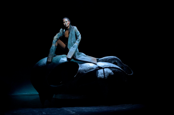 Степные миражи Dashi