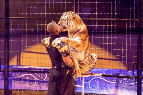 &Ucy;&lcy;&acy;&ncy;-&Ucy;&dcy;&ecy; &TScy;&icy;&rcy;&kcy; &Mcy;&ocy;&rcy;&iecy;&tcy;&tcy;&icy;