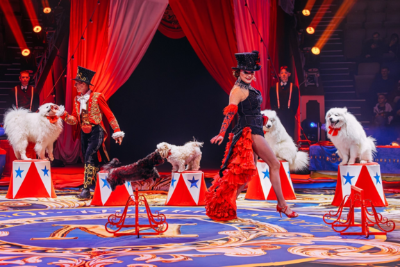 &Icy;&mcy;&pcy;&iecy;&rcy;&acy;&tcy;&ocy;&rcy;&scy;&kcy;&icy;&jcy; &tscy;&icy;&rcy;&kcy; &Mcy;&ocy;&rcy;&iecy;&tcy;&tcy;&icy; &Ucy;&lcy;&acy;&ncy;-&Ucy;&dcy;&ecy;