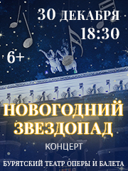 Концерт "Новогодний звездопад"