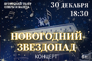 Концерт "Новогодний звездопад"