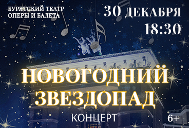 Концерт "Новогодний звездопад"