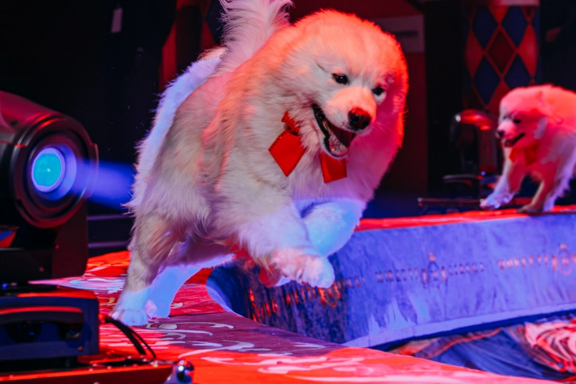 &Icy;&mcy;&pcy;&iecy;&rcy;&acy;&tcy;&ocy;&rcy;&scy;&kcy;&icy;&jcy; &tscy;&icy;&rcy;&kcy; &Mcy;&ocy;&rcy;&iecy;&tcy;&tcy;&icy; &Ucy;&lcy;&acy;&ncy;-&Ucy;&dcy;&ecy;